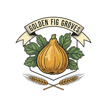 Golden fig groves logo with wheat stalks.