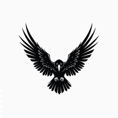 Fototapeta premium Black bird in flight wings spread.