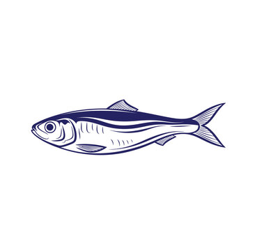 Simplified graphic icon of a small herring fish with wildlife illustration creature swimming freshwater isolated minimalist bluefish