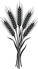 Fototapeta premium Black silhouette of wheat stalks and cereal ears.
