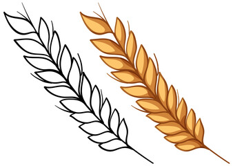 Fototapeta premium Vector Illustration of Golden Wheat Stalk and Black Line Art Outline