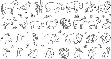 Wild farm and safari animals vector line art mega icon set featuring lion hippo horse bison sheep turkey © MDSAIFUL