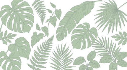 Sage green tropical foliage collection with monstera and fern leaves © Emilo