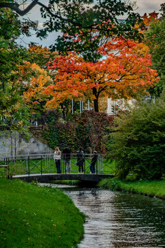 Autumn Streams Through Munich English Garden Park