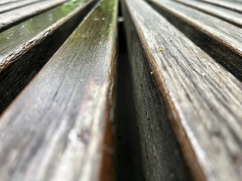 Abstract dark wood texture background with parallel line pattern. Wood bench after rain in a park. Lines of a macro wood bench with water.