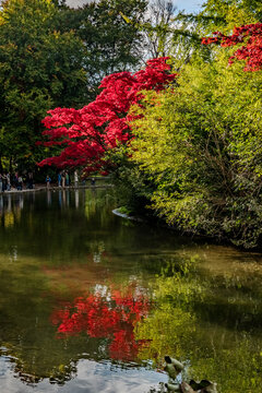 Autumn Reflections In Munich English Garden Park