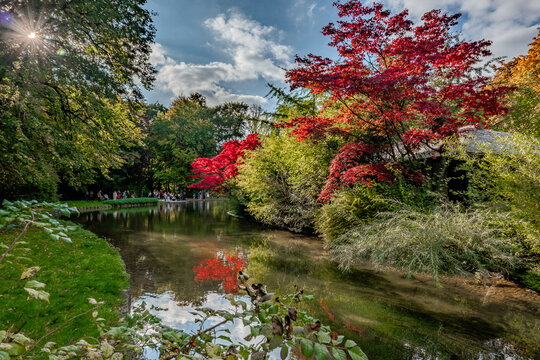 Autumn Reflections In Munich English Garden Park