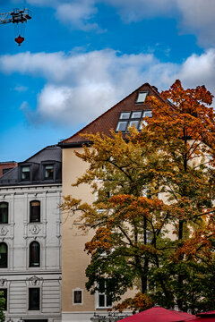 Autumn Tree Among Historic Buildings in Munich