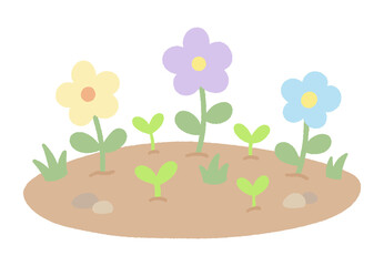 Fototapeta premium cute spring flower garden