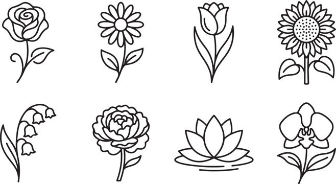Set of eight elegant line-drawn flowers illustration
