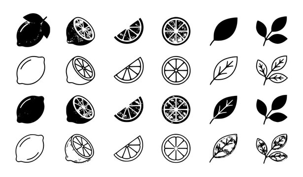 Fresh Lemon Citrus Fruit Icon Collection in Solid Filled Outline and Thin Stroke Vector Styles