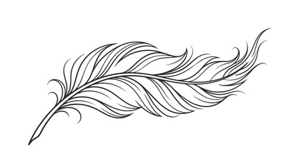 Elegant minimalist bird feather line art sketch © Giesel