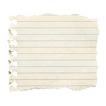 Torn Notebook Paper Scrap with Ruled Lines Isolated on White Background PNG Mockup