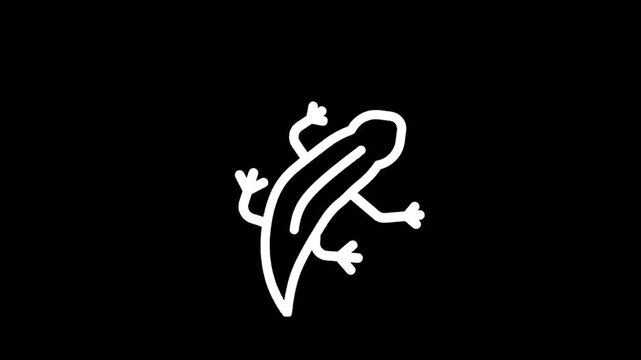 Simple white outline drawing of a salamander on a black background