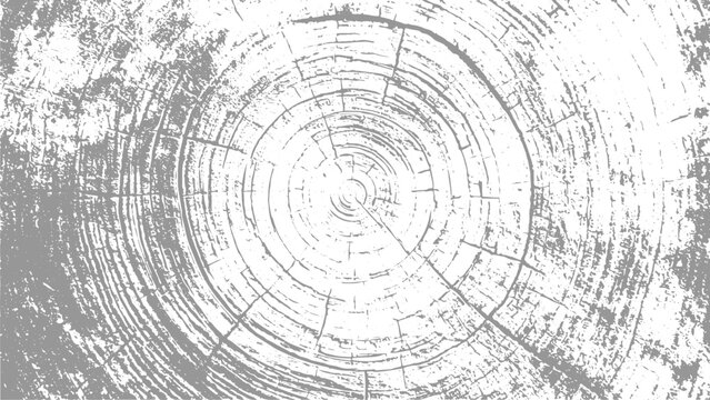 Vintage Tree Ring Texture Pack with Distressed Circular Wood Patterns and Grunge Elements.