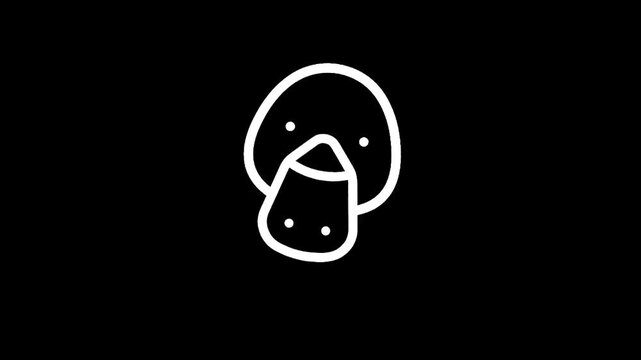 Simple white line drawing of a duck's face on a black background