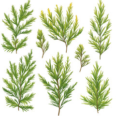 Fototapeta premium Detailed Illustration of Vibrant Green Foliage Branches