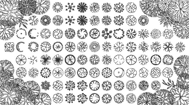 Hand Drawn Landscape Architecture Plan Symbols Featuring Various Trees and Garden Design Elements for Site Mapping and Urban Planning