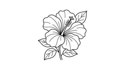 Hibiscus flower line art with blooming petals and leaves © ifin