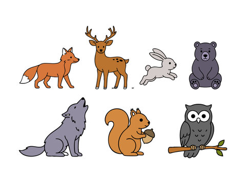 Forest Animals Collection Fox, Deer, Rabbit, Bear, Wolf, Squirrel, Owl