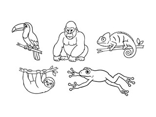 Fototapeta premium Jungle Animals Outline Collection Toucan, Gorilla, Chameleon, Sloth, Frog