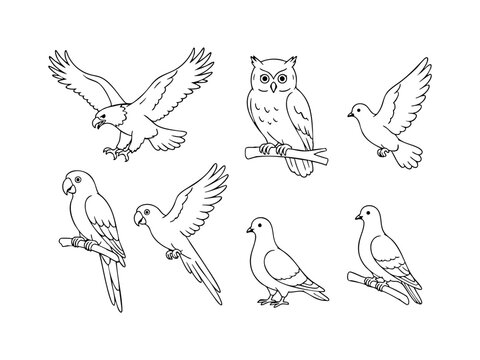 Collection of Bird Silhouettes Eagle, Owl, Parrots, and Doves in Line Art Style