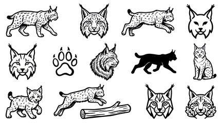 Fototapeta premium Collection of Lynx Illustrations and Icons for Wildlife Art.