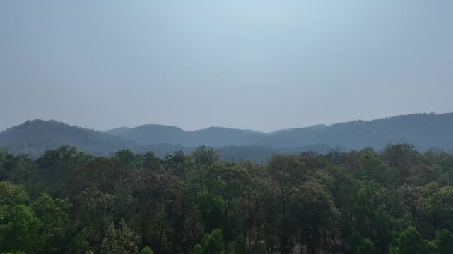 A drone panning shot in Assam&rsquo;s dry season reveals the graceful beauty of leafless forest trees and rolling hills, painting a serene, earthy landscape touched by nature&rsquo;s quiet charm. 4K