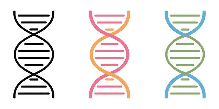 Dna icon, genetic molecule symbol with colorful genome spiral, chromosome helix biotechnology sign, gene medicine and evolution vector illustration.