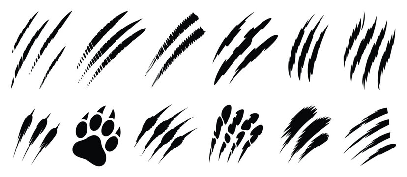 Dark beast claw slashes, ripped paper cut effect, scary animal nail scratches, black monster tear marks, horror halloween texture background, mystery vector design elements.