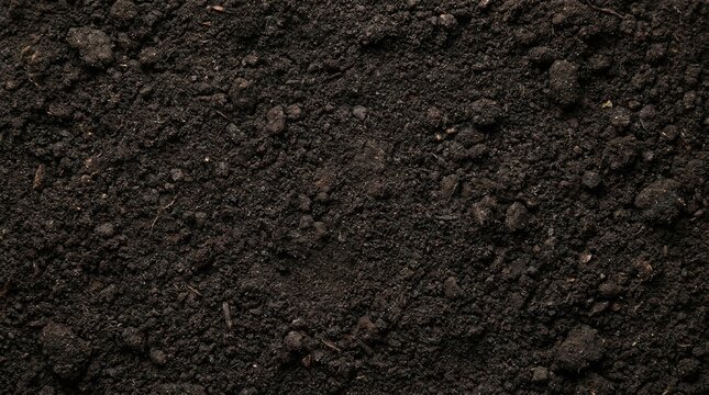 Organic Dark Potting Soil Texture Background for Sustainable Gardening and Agriculture Projects High Resolution Top View of Fertile Earth for Planting