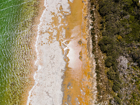 Aerial view of Lake Clifton Thrombolites showing unique microbial structures along the shoreline with salt crusts and native vegetation in Lake Clifton, Western Australia, Australia.