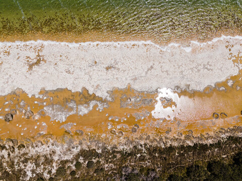 Aerial view of Lake Clifton Thrombolites, showing unique microbialite structures along the shoreline with salt crusts and shallow water in Lake Clifton, Western Australia, Australia.