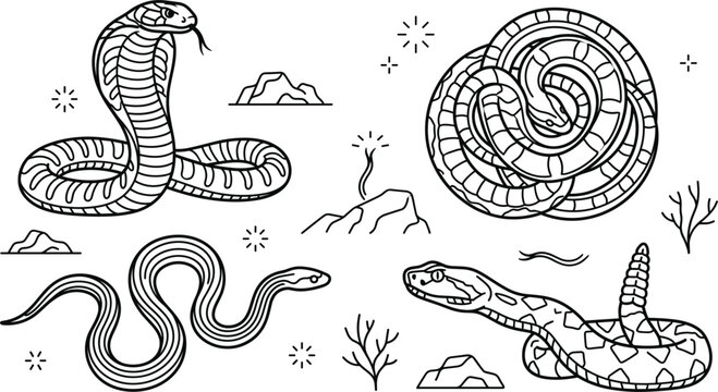 Snake and Cobra Reptile Line Art Collection Banner with Rattlesnake Desert Nature Icons