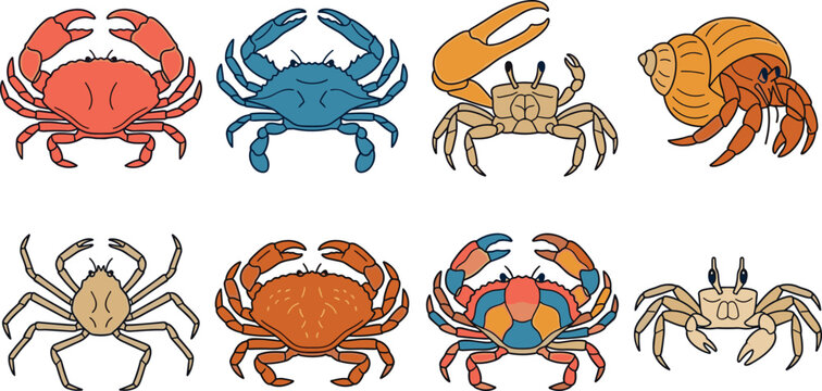 Marine Crustacean and Crab Variety Illustration Icon Set featuring Blue Crab Hermit Crab Fiddler Crab and Sea Life Elements for Seafood Menu Designs