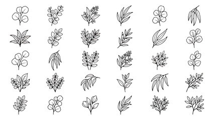 Minimalist eucalyptus leaf line art, set of 30 botanical branch vectors, black ink foliage icons © usmi