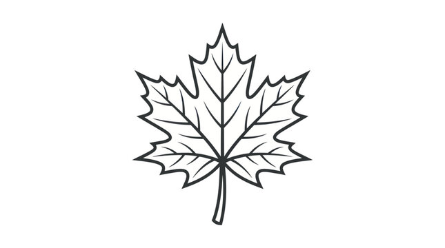Maple leaf outline with detailed veins and pointed lobes