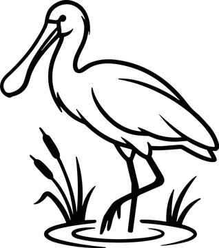 Spoonbill Bird Line Art Standing in Water with Reeds - Vector Illustration