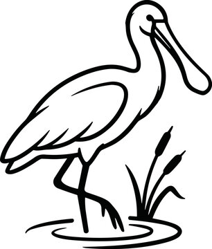 Spoonbill Bird Line Art Illustration in Water with Reeds