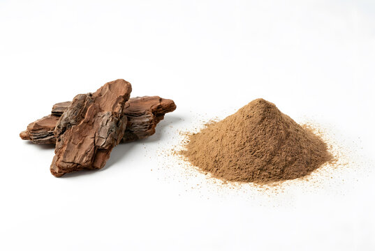 Pine bark pieces and ground bark extract powder on white