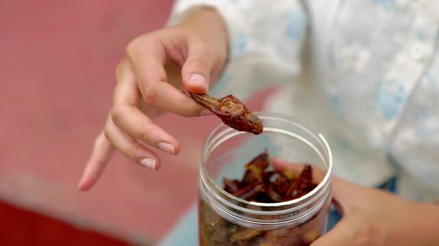 A woman's hand is holding fried grasshoppers in the garden. Enjoying halal food.