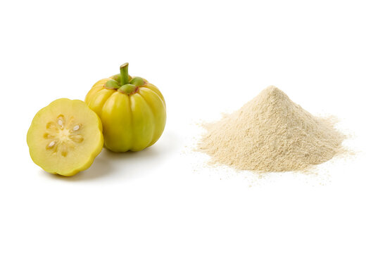 Whole and sliced garcinia cambogia fruit with herbal extract powder