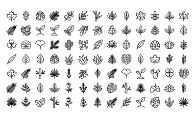 Obraz premium Leaf and Plant Outline Icon Set Natural Botanical Vector Collection