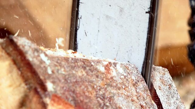Close up of chainsaw blade cutting through timber log with wood chips flying, showcasing forestry work and timber processing in Mexico.