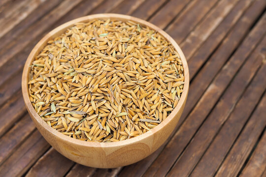 Golden paddy rice grains in a wooden bowl on bamboo wooden table background.