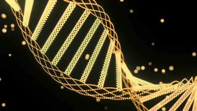 Abstract 3d animation of golden glowing DNA double helix structure spinning with particle bokeh on black background.
