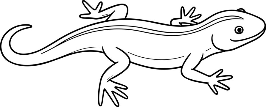 Line Art Gecko Lizard Reptile Drawing