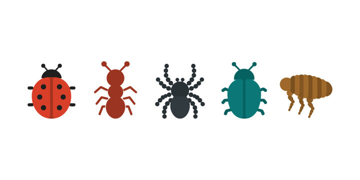Insect Icons Ladybug, Ant, Spider, Beetle, Flea Collection on White Background
