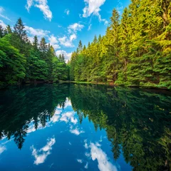 Fichentenwald spiegelt sich in einem kleinen See im Thüringer Wald, Oberhof, Thüringen, Deutschland  © AVTG
