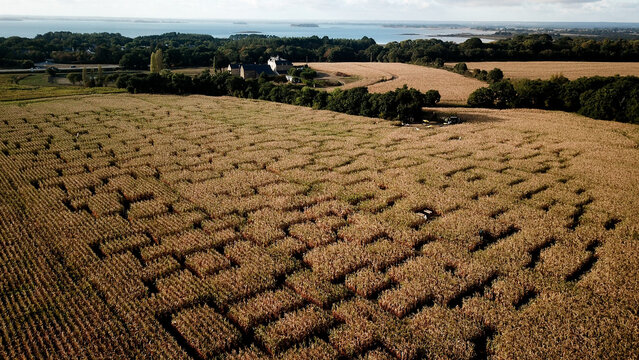 Aerial view of a corn maize labyrinth in a field, with surrounding trees and a distant coastline in Sarzeau, Brittany, France.
